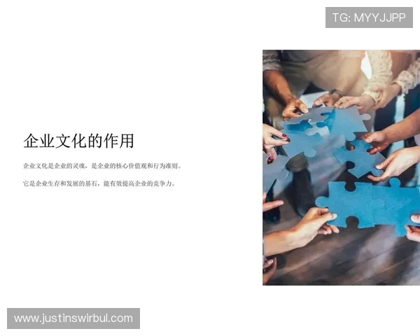 开云线上集团企业文化与核心价值观深度剖析推动行业创新与可持续发展的关键因素
